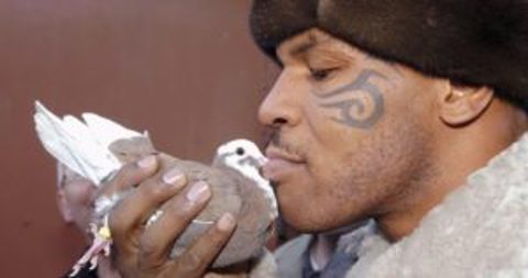 Mike Tyson and his Relationship with Pigeons